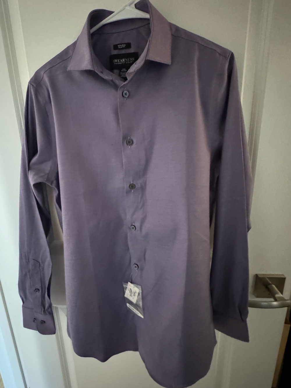 Kenneth Cole Men's Lavender Long-Sleeve Dress Shirt